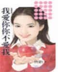 我愛你你不愛我（熱戀傷痕系列之一）
