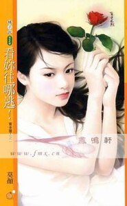 《看你往哪逃!(賞金獵人系列之一)》