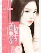 《強娶豪奪:首席,要專寵》