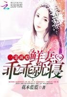 《一寵成癮:鮮妻,乖乖就寢》