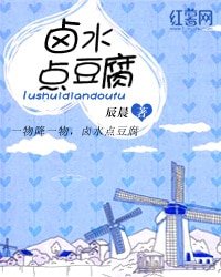 《滷水點豆腐》