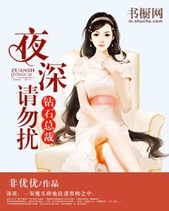鑽石總裁：夜深請勿擾