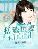 《閃婚AA制:私藏暖妻有點甜》