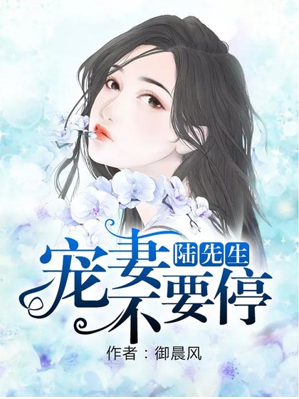 《陸先生,寵妻不要停》