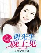 《名門公敵:謝先生,晚上見》