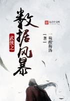 《武俠之資料風暴》