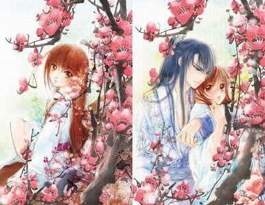 《楚楚(出書版)》