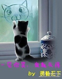 《一見你笑,我就頭疼》