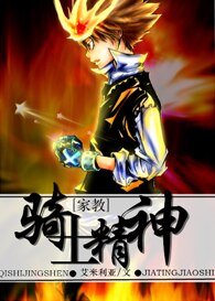（家教同人）騎士精神
