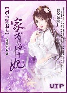《河東獅追夫:家有悍妃》