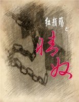 《紅顏殤之情奴》