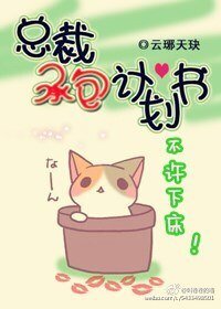 《總裁承包策劃書》