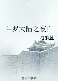 《(斗羅大陸同人)斗羅大陸之夜白》