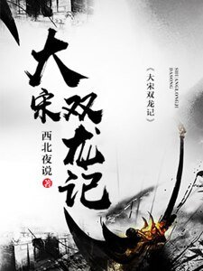 《大宋雙龍記》