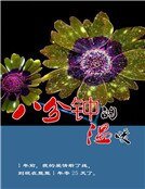 《八分鐘的溫暖》
