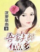 《吾家夫郎有點多》