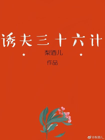《誘夫三十六計》