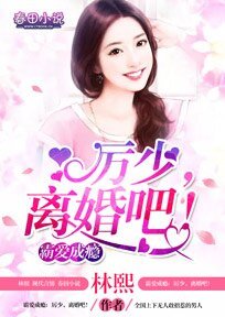 《霸愛成癮:厲少,離婚吧!》