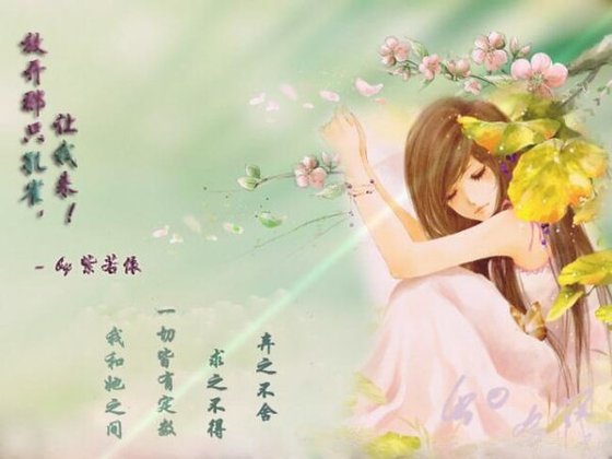 《放開那隻孔雀,讓我來!》