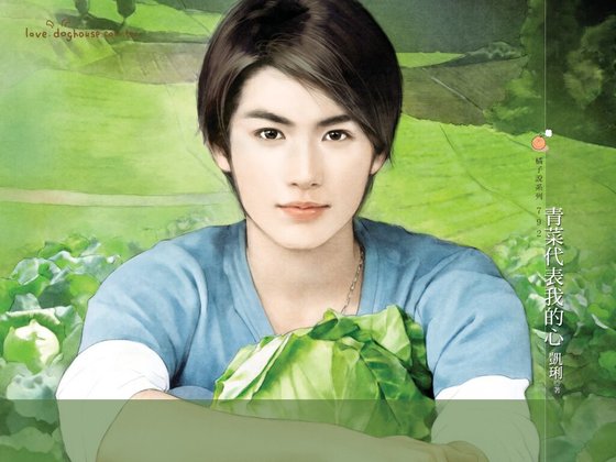 《青菜代表我的心(今日農村之寶島王者)》