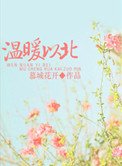 《溫軟之北,暖寵以南(溫暖以北)》