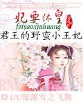 《妃要休皇:君王的野蠻小王妃》