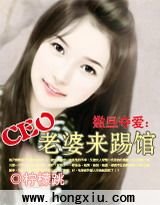 《撒旦奪愛:CEO老婆來踢館》