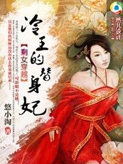 《剩女穿越:冷王的替身妃》