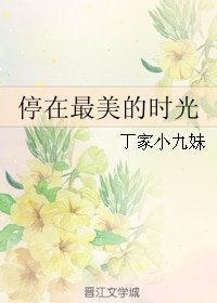 《停在最美的時光》