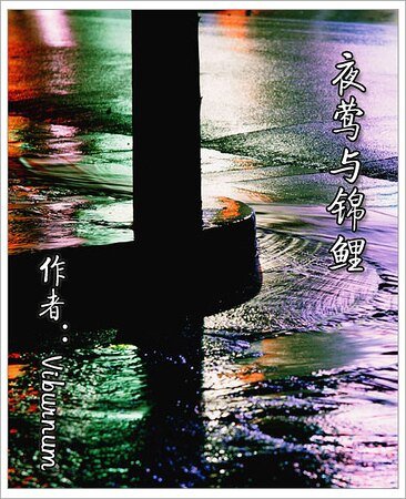 夜鶯與錦鯉