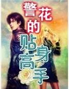 《警花的貼身高手》