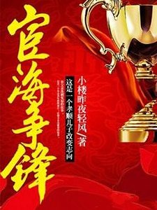 《宦海爭鋒》