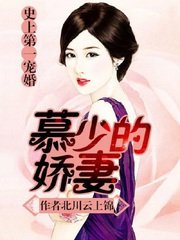 《史上第一寵婚:慕少的嬌妻》