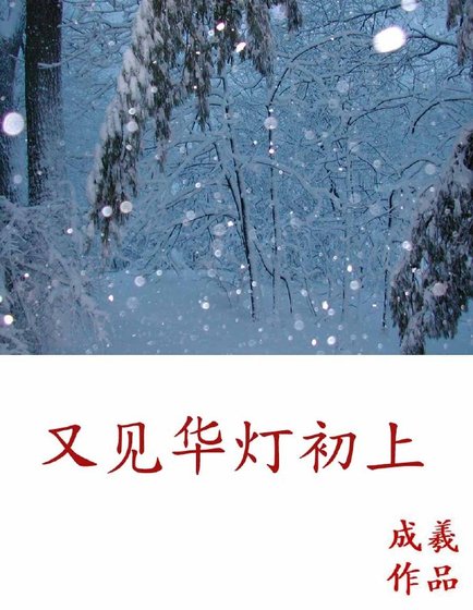 《又見華燈初上》