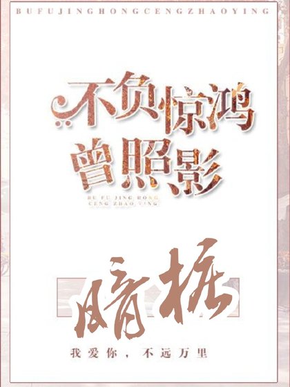 《暗樁/暗樁:不負驚鴻曾照影》