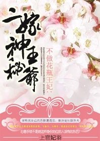 《不做花瓶王妃:二嫁神秘王爺》