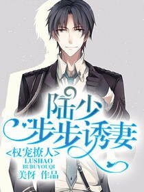 《權寵撩人:陸少步步誘妻》