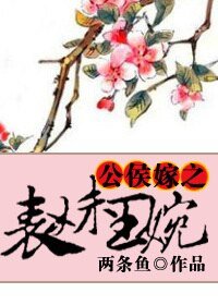 《公侯嫁之表妹王婉》
