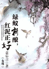 《綠蟻新釀,紅泥正好(女尊)》