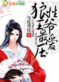 《狼性王爺最愛壓》
