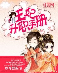 《王妃升職手冊》