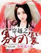《穿越之寡婦丫鬟》