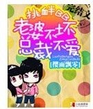 《挑釁BB 老婆不壞總裁不愛》