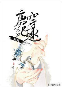 《唐穿記趣》