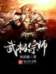 《武極宗師》