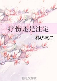 《療傷還是註定》