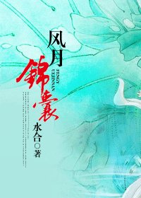 《風月錦囊》