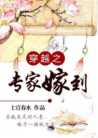 《穿越之專家嫁到/娘子敵萬金》