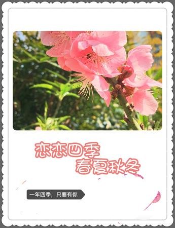 《戀戀四季春夏秋冬》