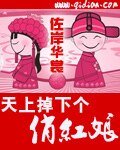 《天上掉下個俏紅娘》